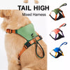 All-in-One Nylon Dog Harness with Retractable Leash
