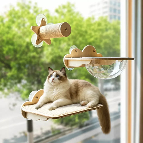 Window-Mounted Cat Climbing System with Perches & Scratching Posts