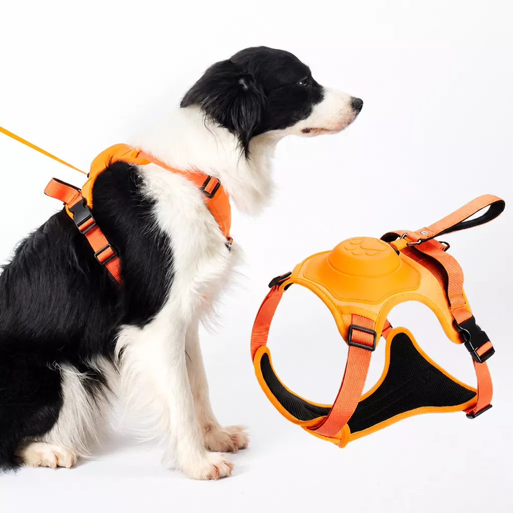 Nylon Dog Harness with Retractable Leash