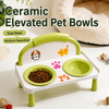 Raised Ceramic Double Pet Bowl Set