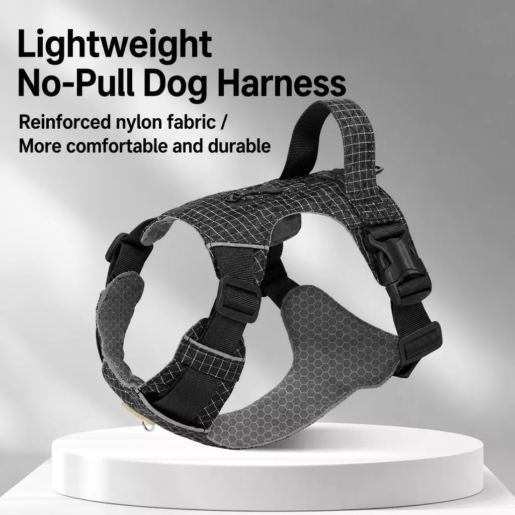Adjustable Nylon Vest-Style Dog Harness with Matching Leash