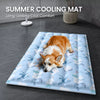 Nylon Pet Mat for Dogs & Cats