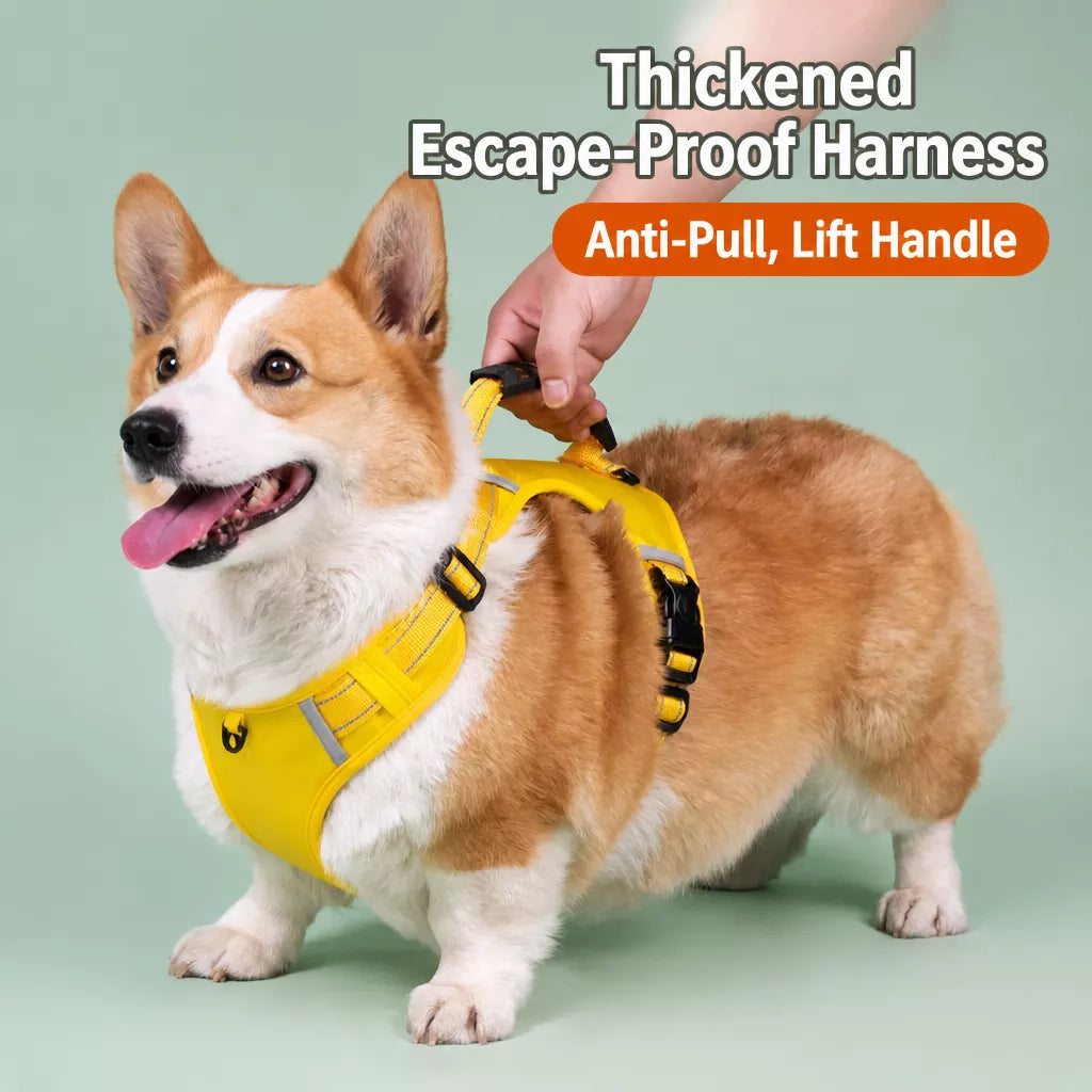 Nylon Dog Harness with Optional Leash