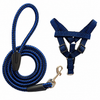 Adjustable Nylon Pet Harness and Leash Set