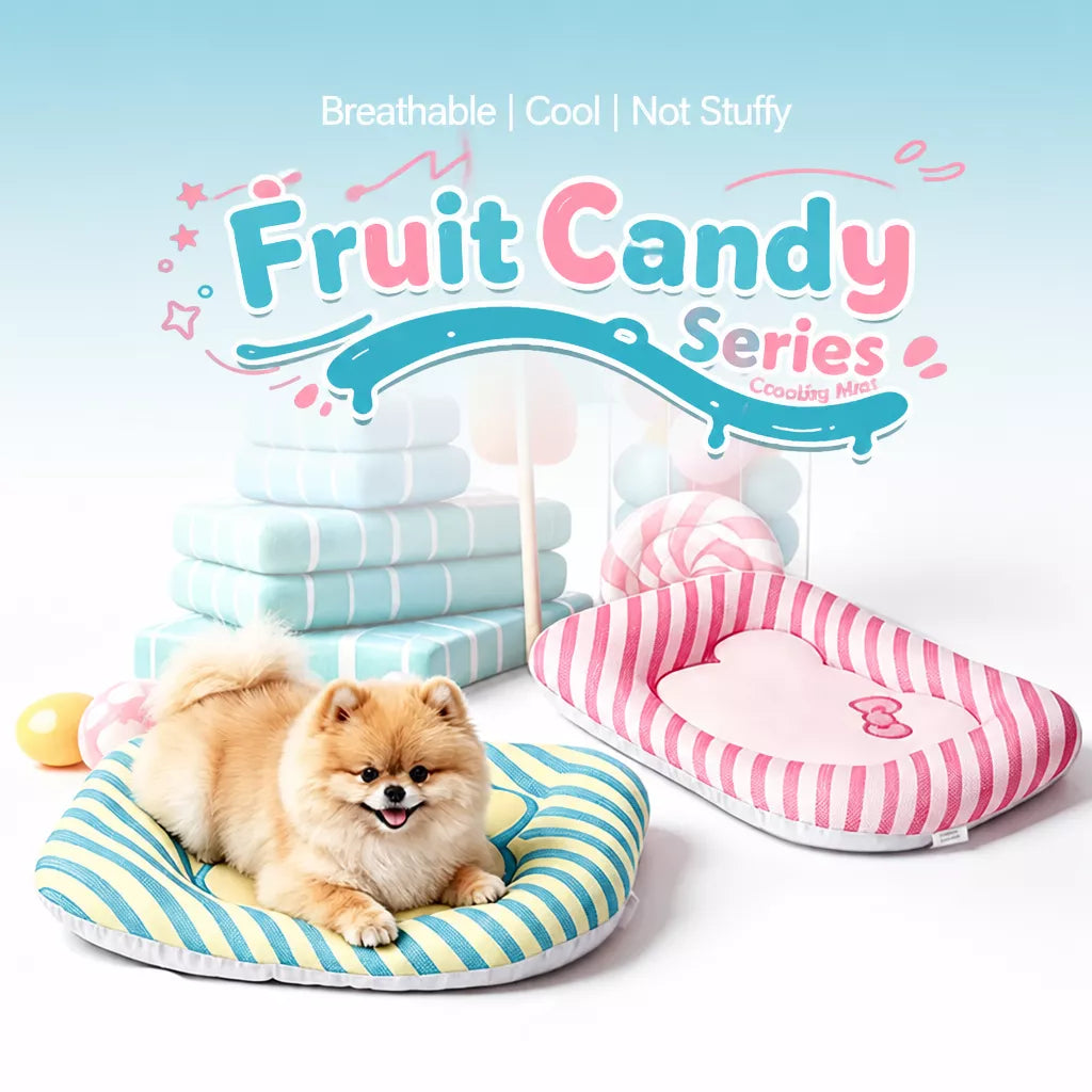 Removable Washable Pet Bed Mat for Cats & Dogs