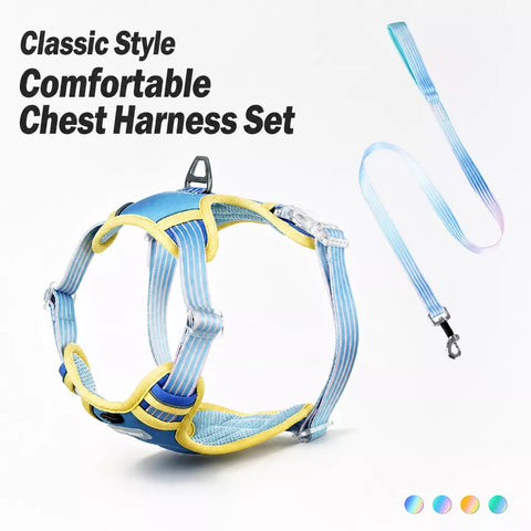 Polyester H-Style Dog Harness for Everyday Walks