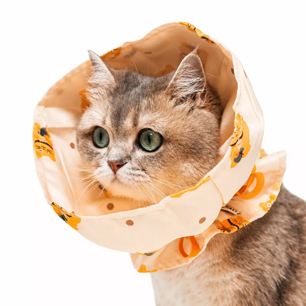 Adjustable Nylon Pet Cone with Lucky Cat Print