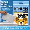 Absorbent Pet Urine Cleanup Sheets