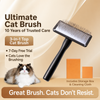 Stainless Steel Pet Pin Brush for Dogs and Cats - p-00289