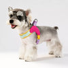 Y-Front Polyester Dog Harness with Leash for Small Dogs