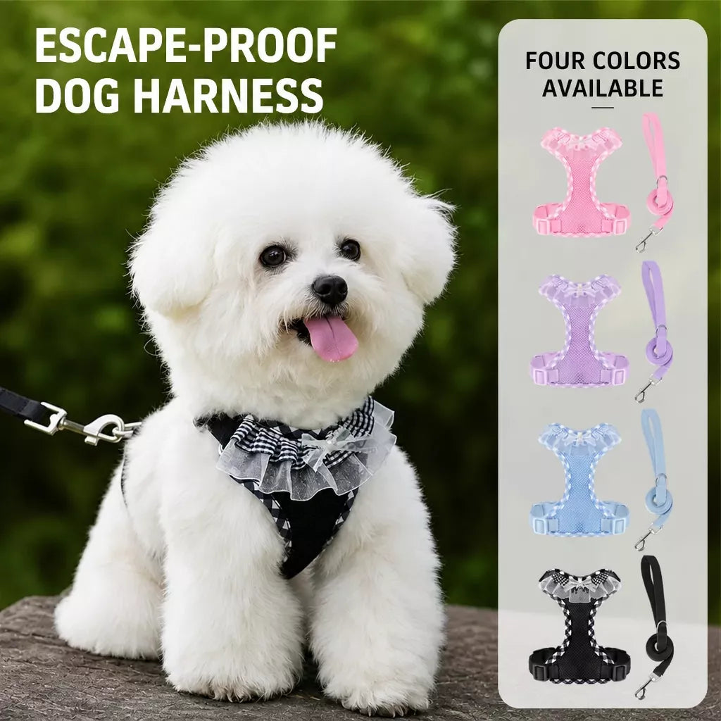Nylon H-Style Dog Harness and 6.6-Foot Leash Set