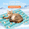 Summer Pet Mat for Dogs & Cats