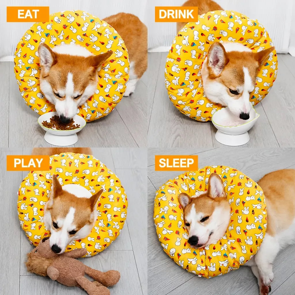 Soft Recovery Collar for Dogs