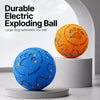Interactive Electric Dog Ball Toy