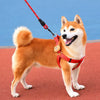 Adjustable Dog Harness and Handheld Leash