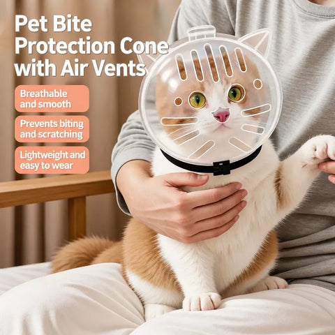 Clear Plastic Recovery Cone for Cats