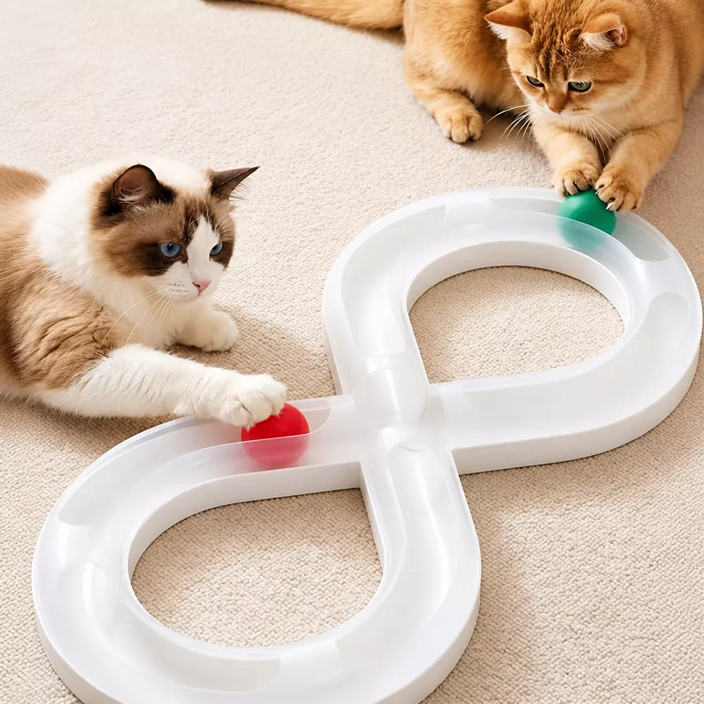 Interactive Rolling Ball Track Toy for Cats