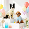 Lightweight Four-Leg Dog Shirt for Warm-Weather Wear
