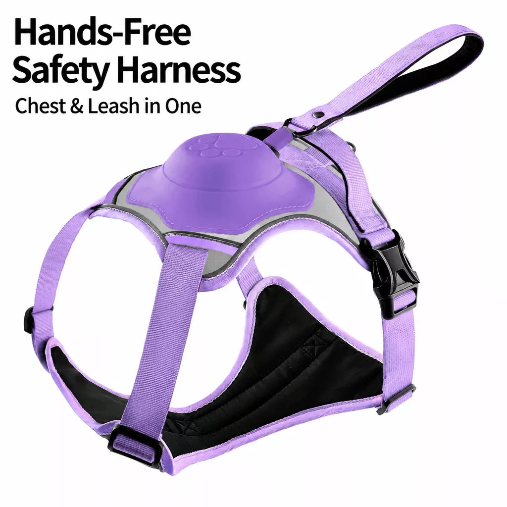 All-in-One Dog Harness with Leash