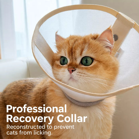 Lightweight Pet Recovery Collar for Dogs & Cats
