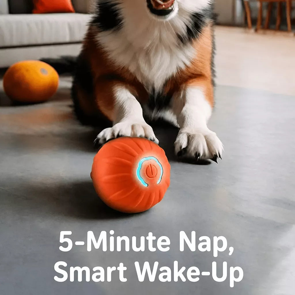 Interactive Squeaky Bouncing Ball Toy for Dogs