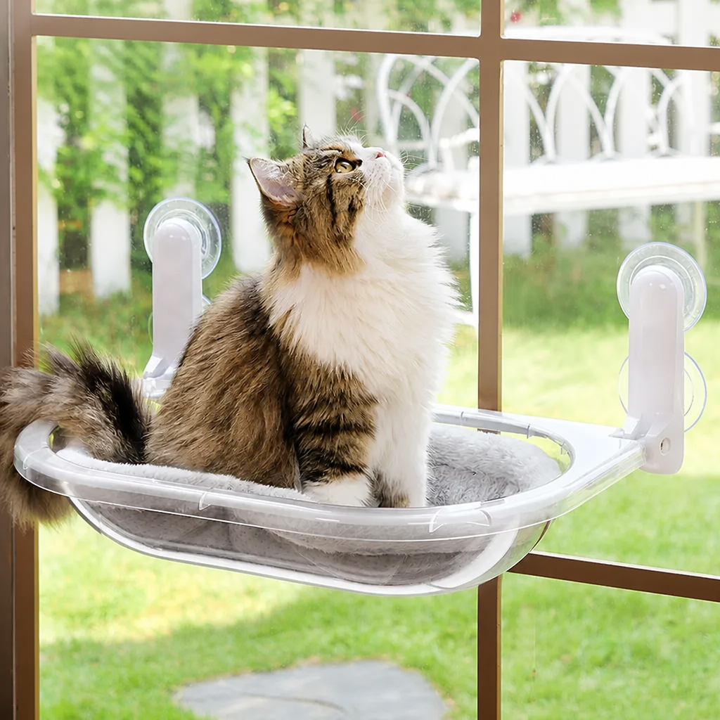 Transparent Foldable Capsule-Style Cat Window Hammock