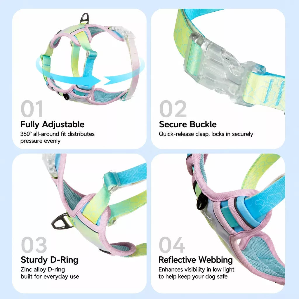 Polyester H-Style Dog Harness for Everyday Walks