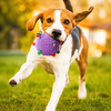 4.7-Inch Squeaky Plush Rolling Ball Toy for Dogs