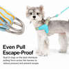 Y-Shaped Nylon Dog Harness and Leash