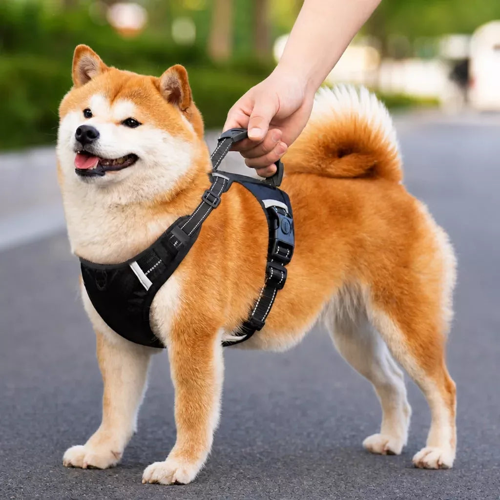 Nylon Dog Harness with Optional Leash