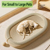 Sisal Cat Scratcher with Teaser Toy