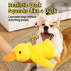 Plush Squeaky Dog Toys – Duck, Rope & Multi-Piece Designs