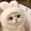 Animal Costume Hats for Dogs & Cats