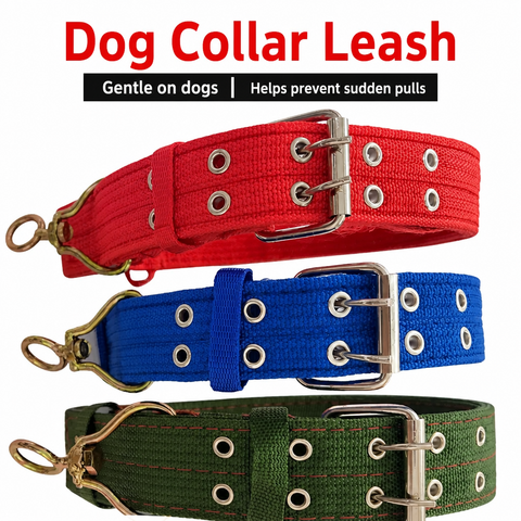 Adjustable Nylon Dog Harness & Leash Set
