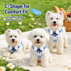 Nylon Dog Harness and Leash for Small Dogs