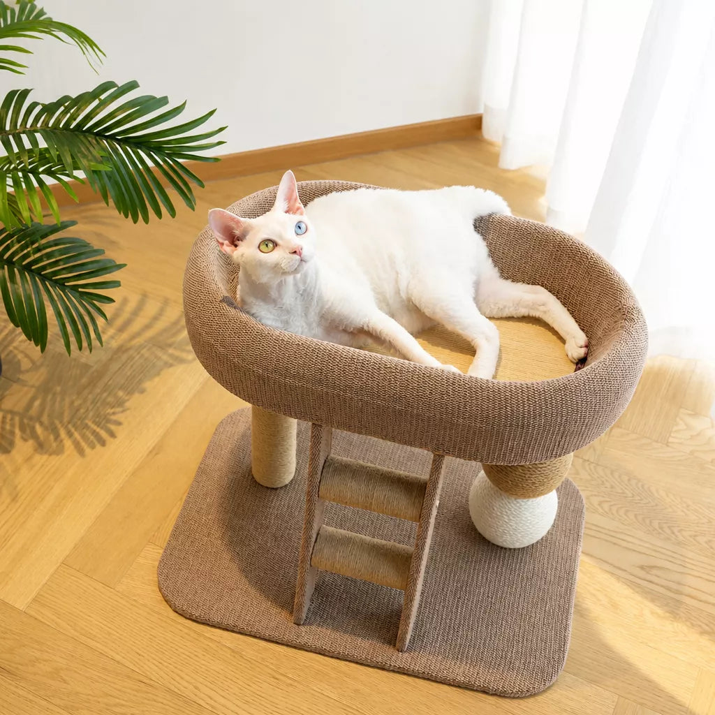 Two-Level Cat Tree with Oval Hideaway and Sisal Scratching Surface