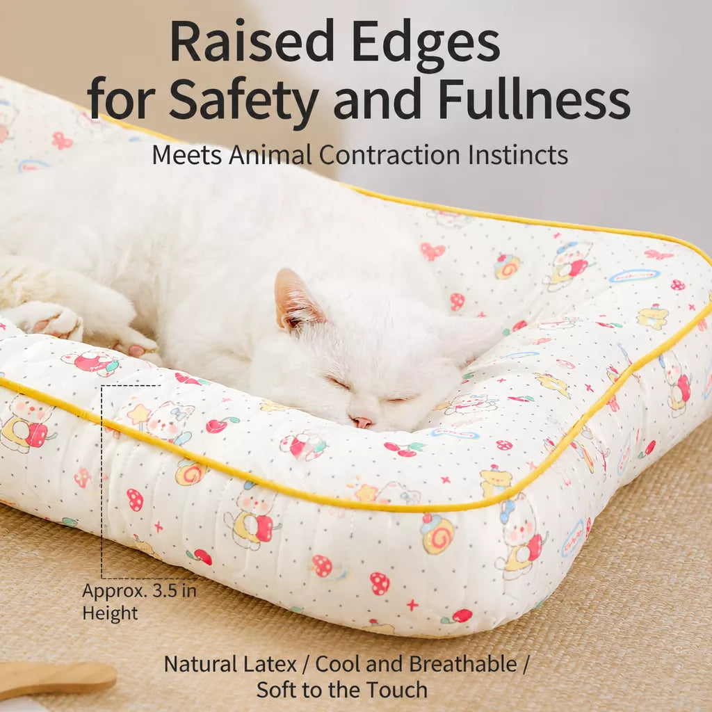Washable Removable Small Dog Bed for Year-Round Use