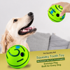 Squeaky Vinyl Dog Ball Toy