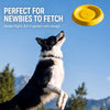 Floating Dog Frisbee Toy for Fetch & Interactive Play