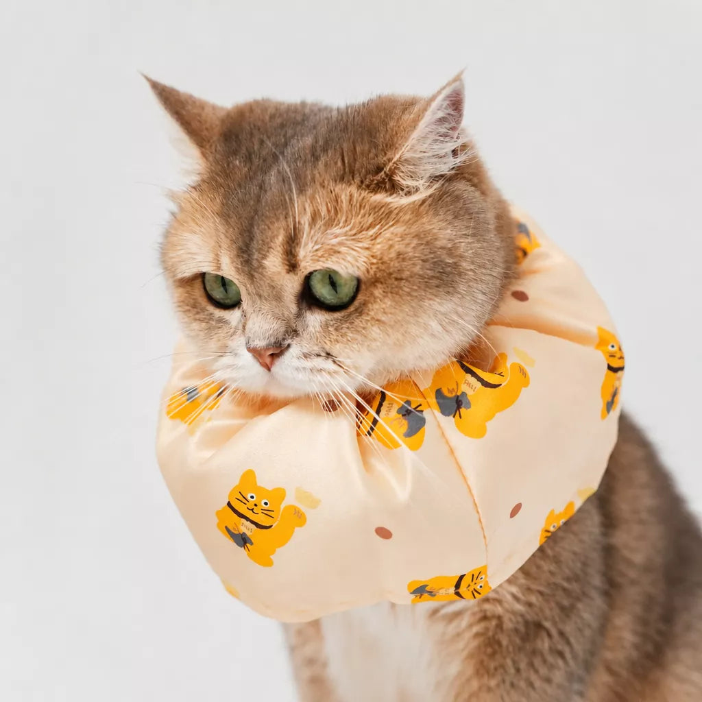 Adjustable Nylon Pet Cone with Lucky Cat Print