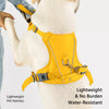 Lightweight Nylon Dog Harness and Leash Set for Everyday Walks