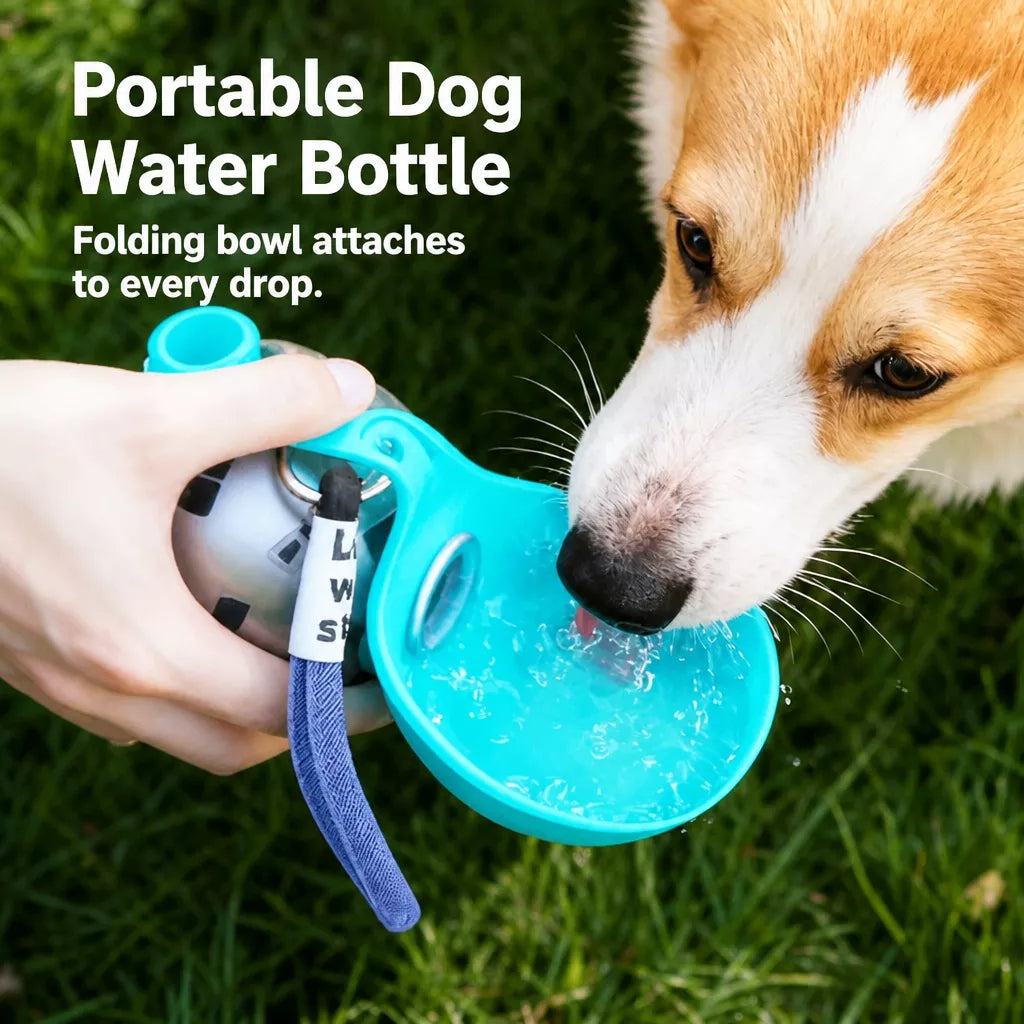 Portable Pet Water Bottle for Dogs and Cats
