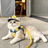 Summer Pet Harness, Leash and Hat Sets - p-00623