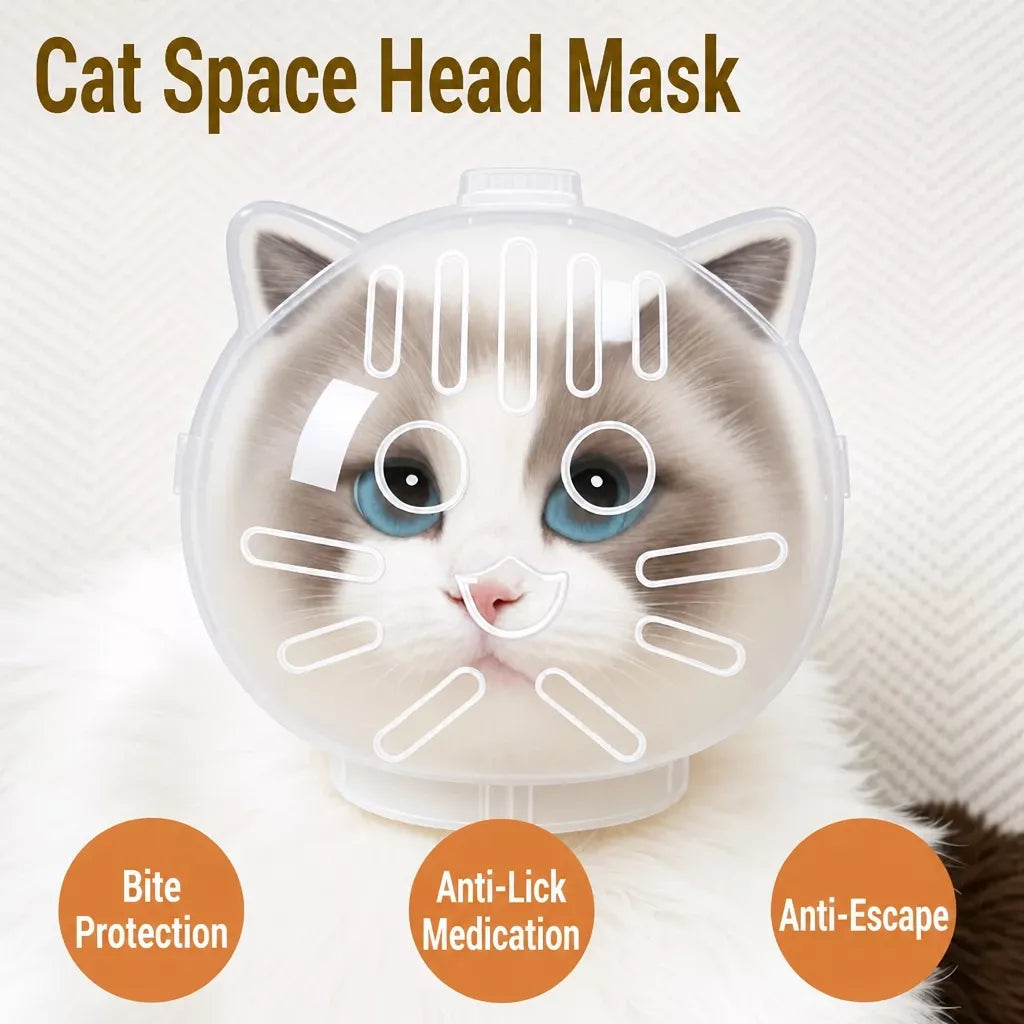 Clear Plastic Recovery Cone for Cats