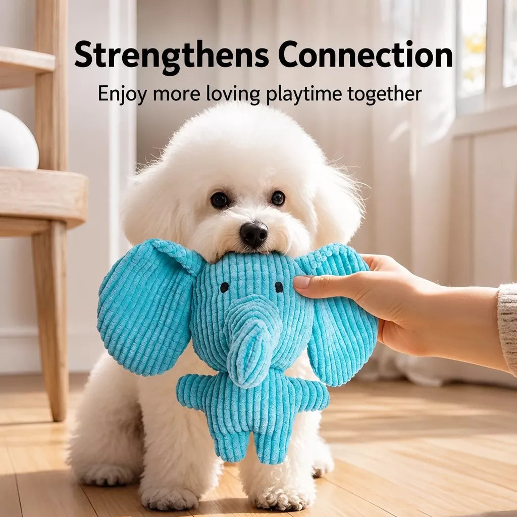 Plush Squeaky Dog Toy
