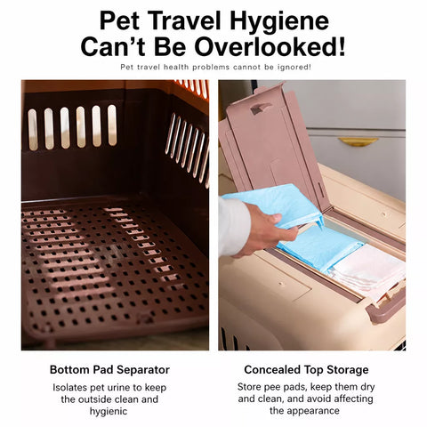 Pet Travel Carrier for Cats and Small to Medium Dogs