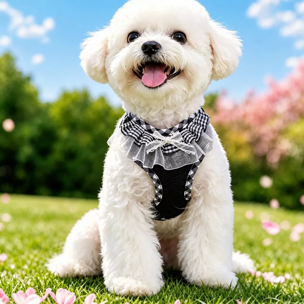 Nylon H-Style Dog Harness and 6.6-Foot Leash Set