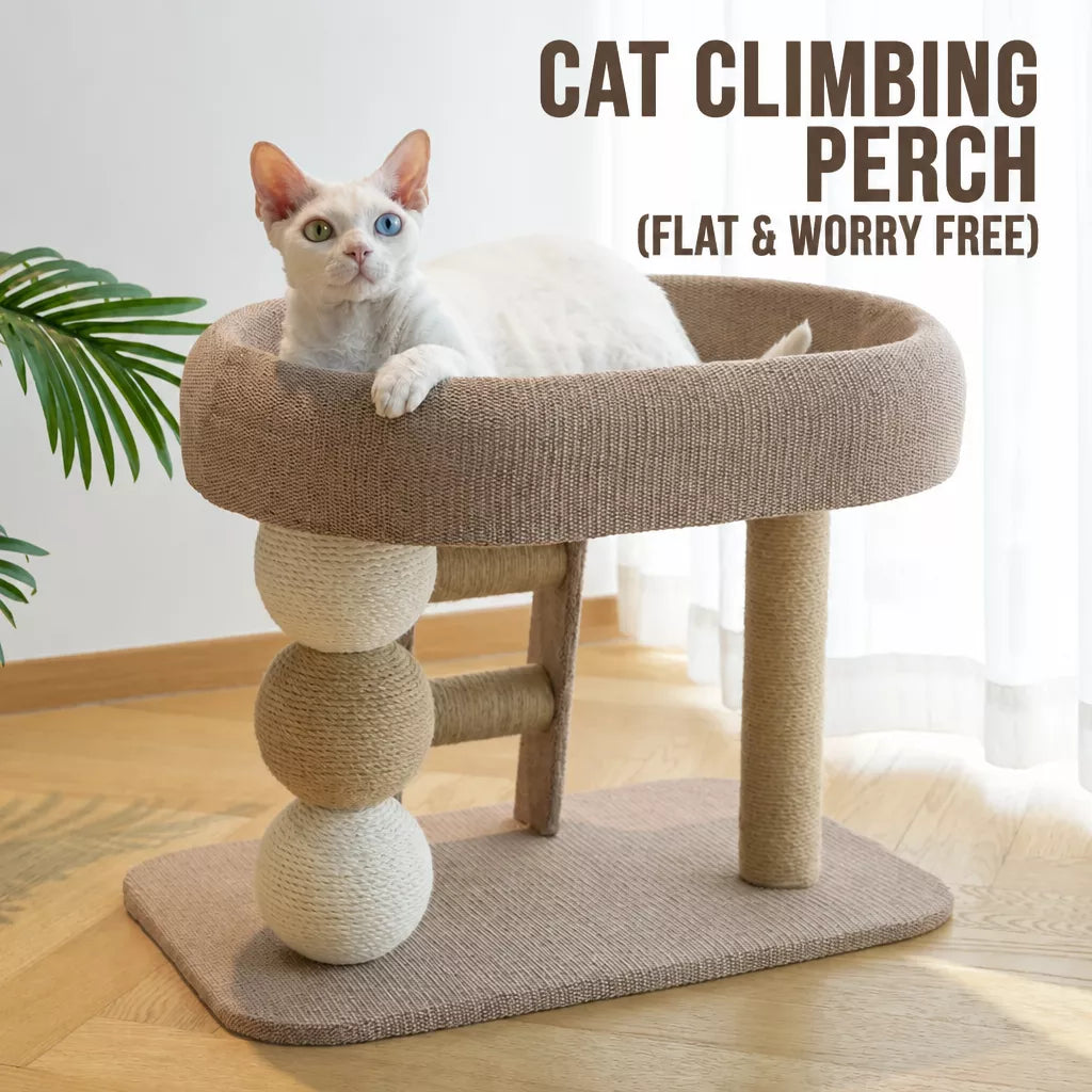 Two-Level Cat Tree with Oval Hideaway and Sisal Scratching Surface