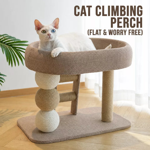 Two-Level Cat Tree with Oval Hideaway and Sisal Scratching Surface