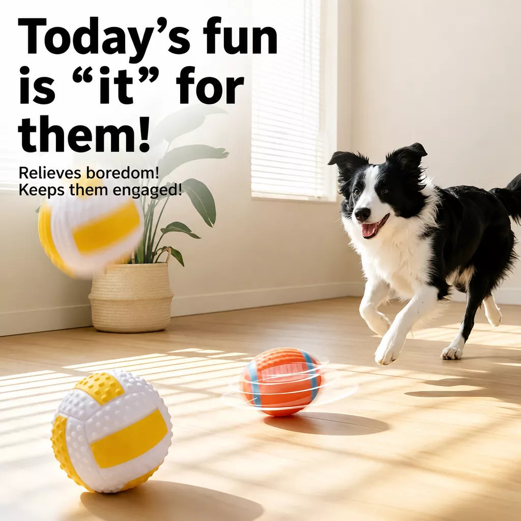 Squeaky Sports Dog Balls for Small and Medium Dogs